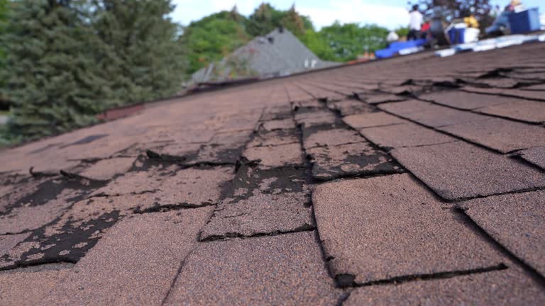 Fast & Reliable Emergency Roof Repairs in Pacific City, OR